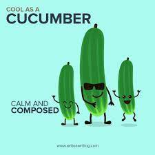 cool as cucumber